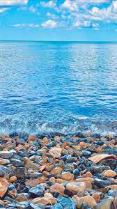 Wallpapers For Iphone 12 Pro And Iphone 12 Pro Max In 2021 Iphone Wallpaper Wallpaper For Iphone 12 Pro Iphone