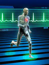 How Does Exercise Lower Blood Pressure As Well As Some Medications?