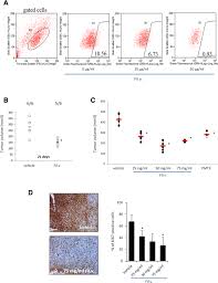 Malignant mesothelioma is a rare kind of cancer that develops in the tissue covering many of your organs. Dropwort Induced Metabolic Reprogramming Restrains Yap Taz Tead Oncogenic Axis In Mesothelioma Journal Of Experimental Clinical Cancer Research Full Text
