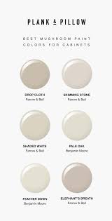 But it may have to share the trend spotlight as pale or muted gray blue and green cabinet colors shake things up a bit. Best Mushroom Paint Colors For Cabinets Plank And Pillow