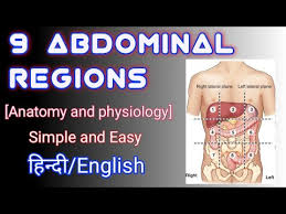 Maybe you would like to learn more about one of these? Video Abdominopelvic Quadrants And Regions