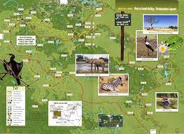 Do note that you still need time to. Tinkers Moremi Game Reserve Tourist Map Hupe Verlag