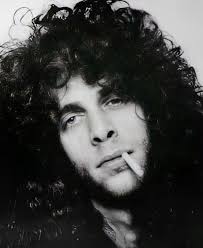 What is the significance of the Fibonacci sequence in Tool's Lateralus  album?