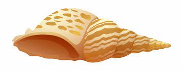 Awesome Sea Shell Png Clip Art Sea Shell Clipart Png Transparent Png Download 1254093 Vippng