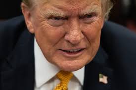 I HATE TAYLOR SWIFT': Trump Is Big Mad That the Star Endorsed Harris