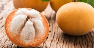 Maybe you would like to learn more about one of these? 13 Manfaat Buah Kecapi Buah Menyegarkan Yang Terlupakan