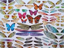 Resultado de imagen de animal invisible alborés