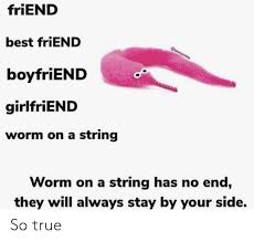 We did not find results for: Friend Best Friend Boyfriend Girlfriend Worm On A String Worm On A String Has No End They Will Always Stay By Your Side So True Best Friend Meme On Me Me