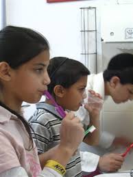 AMERICAN FRIENDS OF DVI