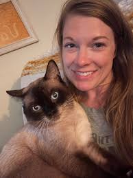 Lost cat in Winchester, Virginia area