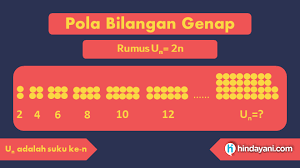 We did not find results for: Cara Cepat Hitung Pola Bilangan Deret Angka Rumus Contoh Soal