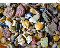 Le Nourrir Correctement
