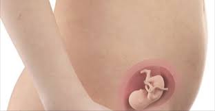 Sunt multe alte motive pentru care ciclul menstrual intarzie. Primul Simptom Care Te Anunta Ca Esti Insarcinata Inainte Sa Ti Intarzie Menstruatia E Bine Ca Fiecare Femeie SÄƒ Il CunoascÄƒ Dailynews Ro