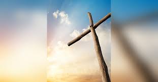 Obituary information for Sameh Shafik Soliman