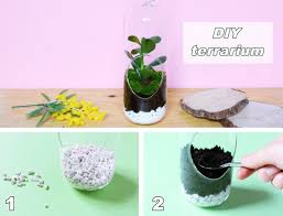 1001 Modeles De Terrarium Plante En Bocal Ferme Ou Ouvert Terrarium Diy Terrarium Diy