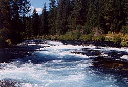 The Metolius River