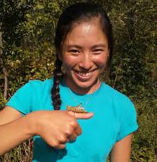 Environmental Activities for Youth Clubs and Camps