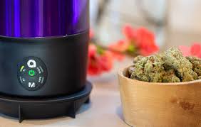 However, your house will start to smell a lot like cannabis. How To Decarboxylate And Infuse Cannabis Without An Oven Leafly