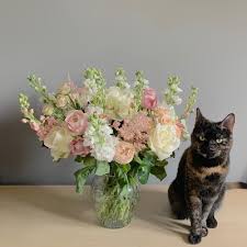 You may have done some research on your own to discover which plants are safe for your cat and which. Luxury Feline Friendly Flowers Buy Online Or Call 01270 624625