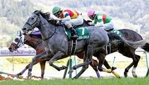 Последние твиты от プロジェクトセカイ カラフルステージ! ç¦å³¶ç‰é¦¬ã‚¹ãƒ†ãƒ¼ã‚¯ã‚¹ 2019 äºˆæƒ³ ãˆã£æ„å¤– ã‚ã®é¨Žæ‰‹ãŒæ´»èº èª¿ã¹ã¦ã‚ã‹ã£ãŸç¦å³¶èŠ1800ï½ã®ãƒ‡ãƒ¼ã‚¿ ç«¶é¦¬äºˆæƒ³ã®ã‚­ãƒ³ã‚°ã‚¹ãƒãƒ¼ãƒ„