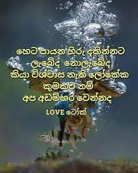 Sri lanka funny images sinhala jokes,sri lankan gossip. Love Tok Facebook