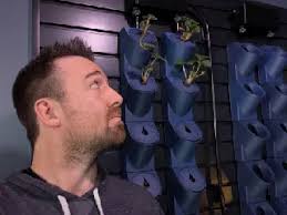 Vrai Piège à Frelons original à visser Nutella, Le Parfait, Bonne Maman  bocaux ou pots avec antipluie suspendable/ Real Screw original Wasp Hornet  Trap Nutella,Le Parfait, Bonne Maman jars with anti rain