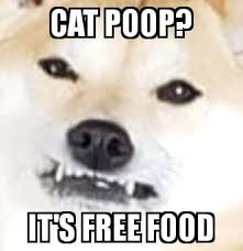 Maybe you would like to learn more about one of these? It S Free Real Estate 9gag