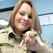 Horton named new chief