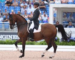 We specialise in breeding dressage horses of the highest standard and are currently breeding with around thirty quality dressage mares per season. Mount St John Freestyle And Quantico Withdrawn From 2018 Olympia Line Up
