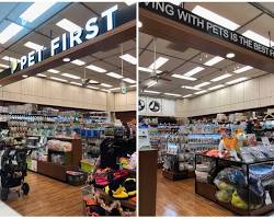cat store in Shibuyaの画像