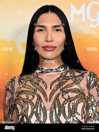 1137 hi-res stock photography and images