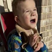 Box Family Obituaries