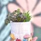 Planter Clay Hand Building Class