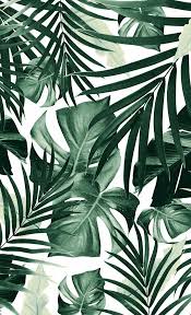 Feuilles tropicales feuilles vertes plantes dessin à faire dessin animé dessins plantes tropicales plantes vertes illustration. Tropical Decor Diy Tropicaldecor Fond D Ecran Tropical Fond D Ecran Telephone Papiers Peints Esthetiques