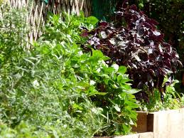 ¿has estado en du jardin a l'assiette? De La Graine A La Feuille Du Jardin A L Assiette Hotel La Tonnellerie