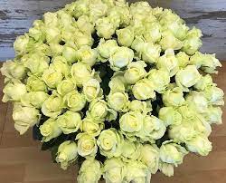 ✓voor 14:00 besteld, vandaag bezorgd ✓ rozen. Bos Vol Met Rozen Bloemist Hilversum Pams Flowers Bloemen Kleuren Je Wereld