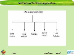 We provide high quality and reliable water soluble fertilizers that has a wide area of application in the agriculture industry. Method Of Fertilizer Application Ppt Cromalinsupport