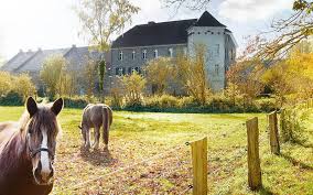 Haus burgel is a working farm based within a former roman fortress and houses a small 8 room museum. Haus Burgel Soll Weltkulturerbe Werden Radio Neandertal
