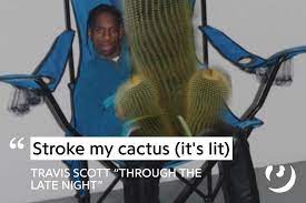 Espolvorear una pequeña temporada en la ensalada. Hit My Palace Travisscott