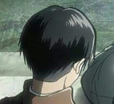 Pin By Finjas World On Frisuren In 2021 Levi Haircut Attack On Titan Levi Attack On Titan Anime