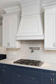 Custom Kitchen For The Gourmet Chef Built By New Legacy Homes In South Tampa Florida Cool Kitchens Kitchen Renovation Custom Kitchen