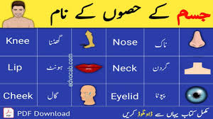 Learn women's clothing names with esl printable pictures and examples to improve your english, particularly your clothes vocabulary. Body Parts Name In English Parts Of Body Names With Pictures Edvocab