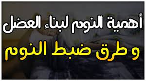 أهمية النوم لبناء العضل و مراحل النوم و تعديل الساعة البيولوجية nosteroids tech company logos company logo amazon logo