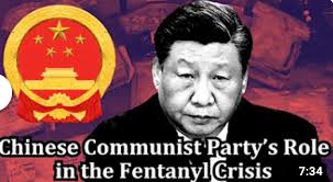 Jaime Puerta, Author at Stop The Void