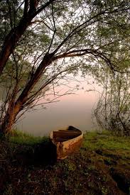 if i die young, bury me in satin. lay