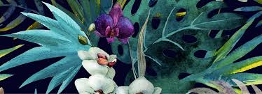 Profile for Maite Morales Graphic Design