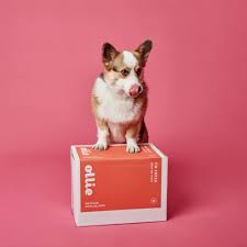 Freyascatrescue We Like Dogs Too Healthy Treats For Your Dog Place Your First Order And Ollie Dona Dog Food Recipes Dog Food Delivery Raw Dog Food Recipes