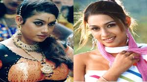 From Idiot to Andhrawala, 5 movies of Rakshita you shouldnt miss