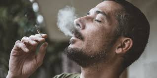 Articles & Insights by Erin Prater