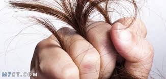 طرق علاج تقصف الشعر عند الاطفال من الأمام 9 اسباب تؤدي لحدوث تقصف الشعر